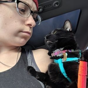 Meet your Posher, Abby